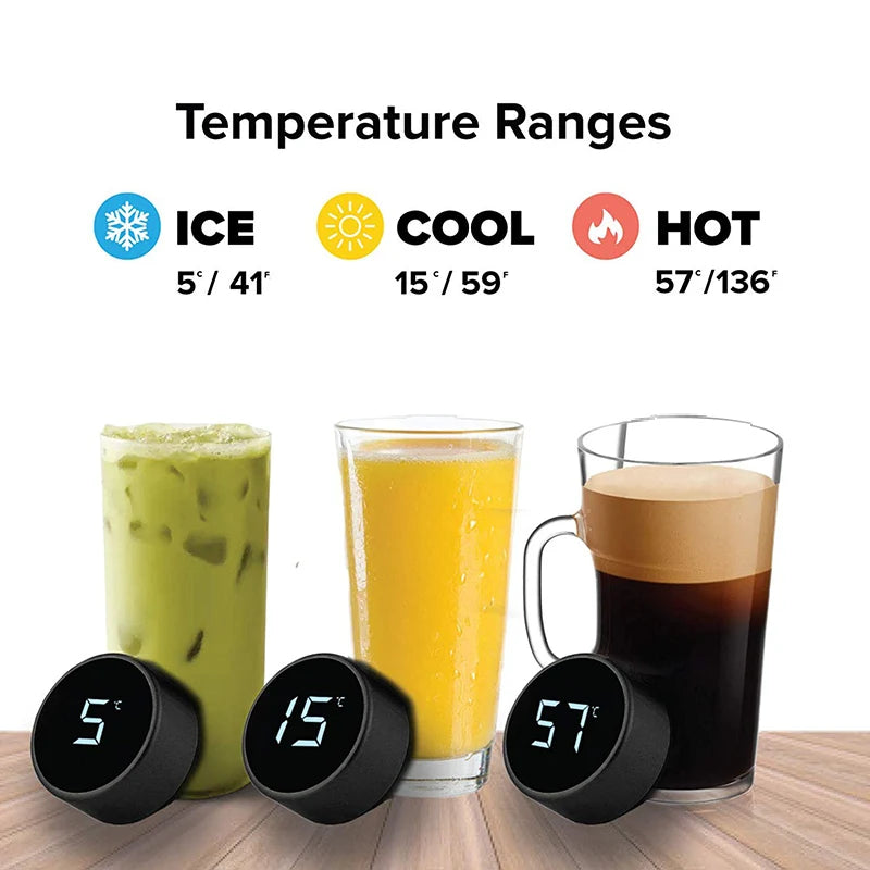 Stainless Steel Smart Thermos Bottle with LCD Temperature Display