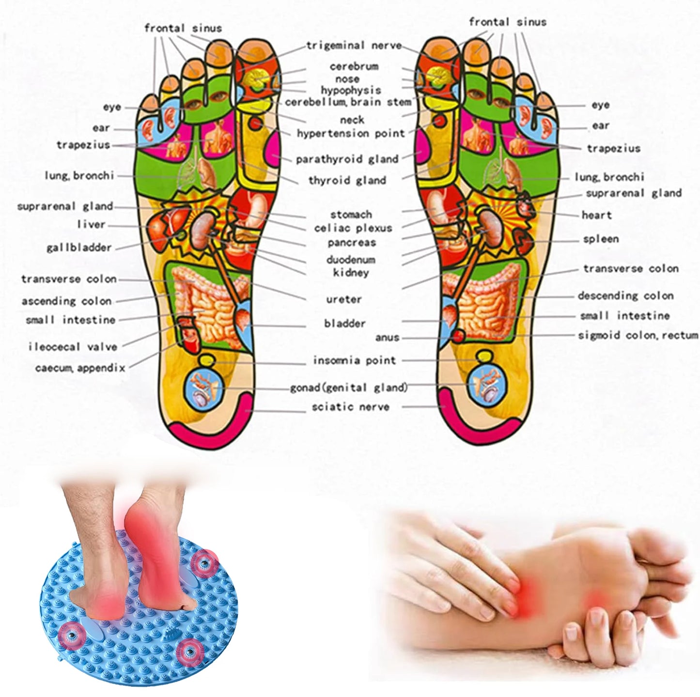 Acupressure Foot Massage Mat with Magnetic Therapy – Reflexology Pressure Point Pad for Pain Relief and Stress Reduction